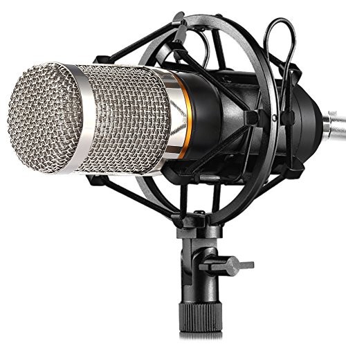 ZINGYOU BM-800 Condenser Microphone, Cardioid Studio Recording Microphone with Shock Mount, XLR Cable