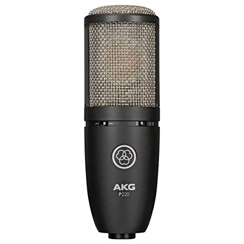 AKG P220 Vocal Condenser Microphone, Black (3101H00420)