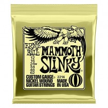 Ernie Ball Electric Guitar Strings (P02214)