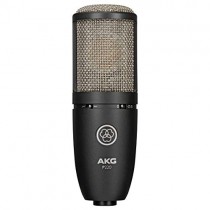 AKG P220 Vocal Condenser Microphone, Black (3101H00420)