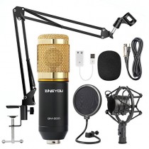 ZINGYOU Condenser Microphone Bundle, BM-800 Mic Kit with Adjustable Mic Suspension Scissor Arm, Metal Shock Mount and Double-layer Pop Filter for Studio Recording & Broadcasting (Gold)