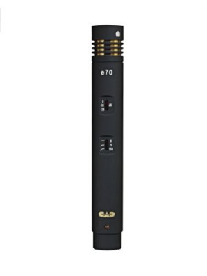 CAD Audio Equitek E70 Small Diaphragm Condenser Microphone includes Cardioid and Omni Capsules