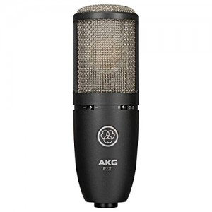 AKG P220 Vocal Condenser Microphone, Black (3101H00420)